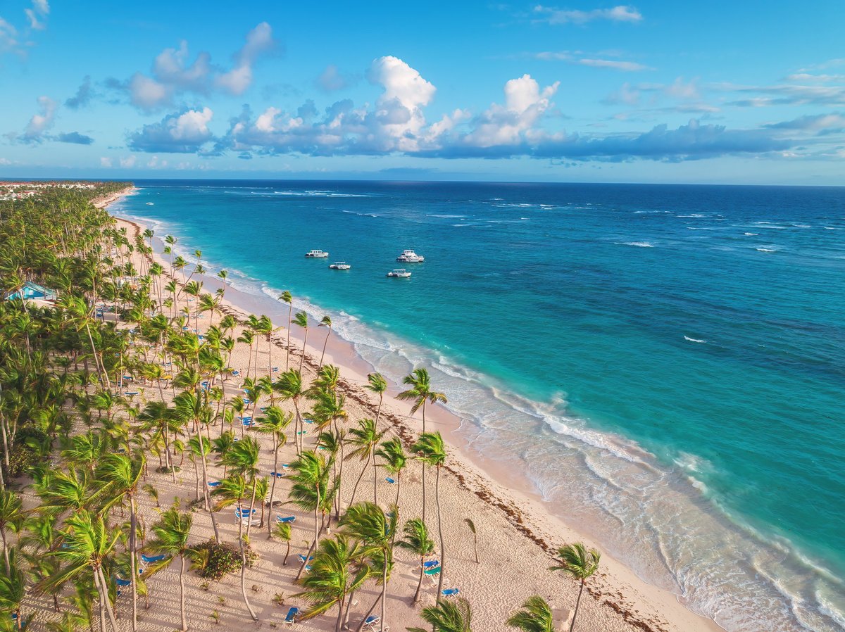 Aerial View of Tropical Caribbean Beach with Palm Trees and Blue Ocean Waters, Dominican Republic.